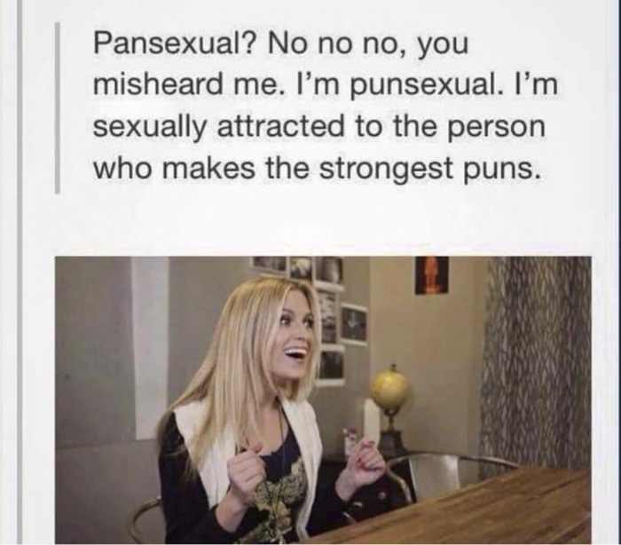 im pansexual meme - Pansexual? No no no, you misheard me. I'm punsexual. I'm sexually attracted to the person who makes the strongest puns.