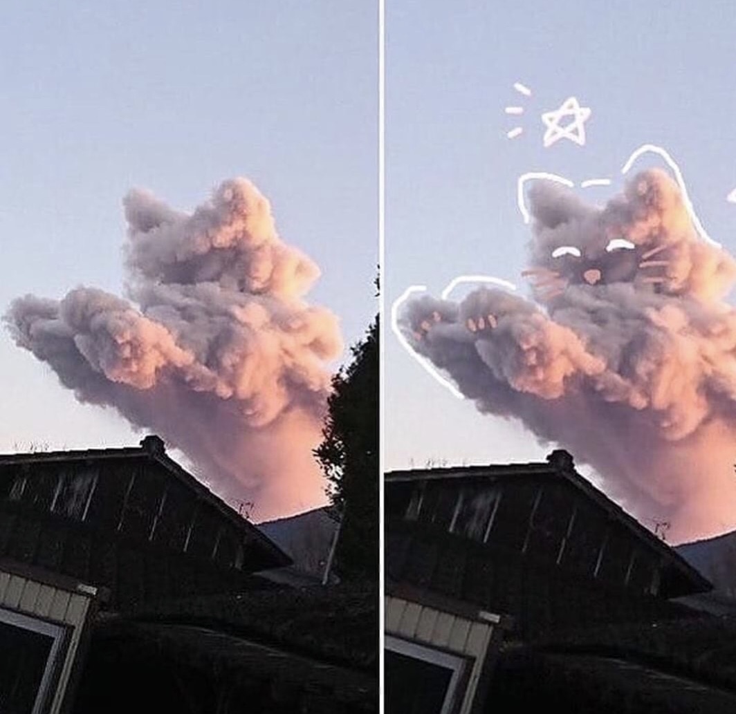 cat cloud
