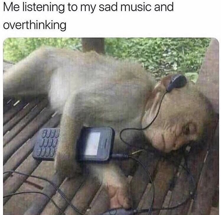 monkey sad music meme