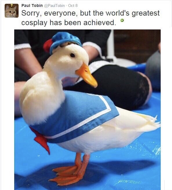 cosplaying duck