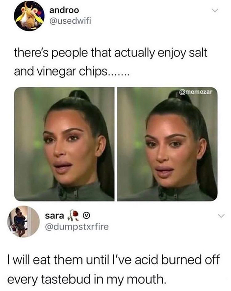 memes - salt and vinegar meme - androo there's people that actually enjoy salt and vinegar chips....... sara I will eat them until I've acid burned off every tastebud in my mouth.