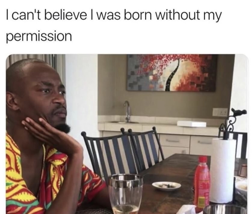 memes - cant believe i was born without my permission - I can't believe I was born without my permission