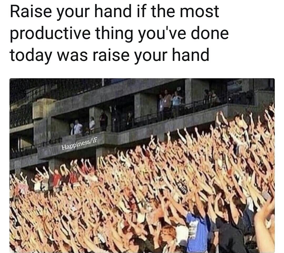 memes - raise your hand if your at home not doing any of the shit you said you were gonna get done today - Raise your hand if the most productive thing you've done today was raise your hand HappinessiF