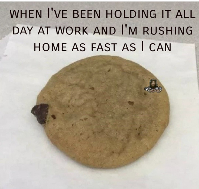 memes - cookie - When I'Ve Been Holding It All Day At Work And I'M Rushing Home As Fast As I Can Feral Jesus