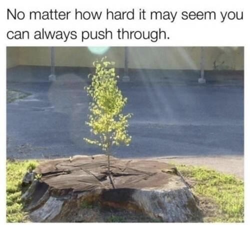 memes - no matter what happens you can start over - No matter how hard it may seem you can always push through.