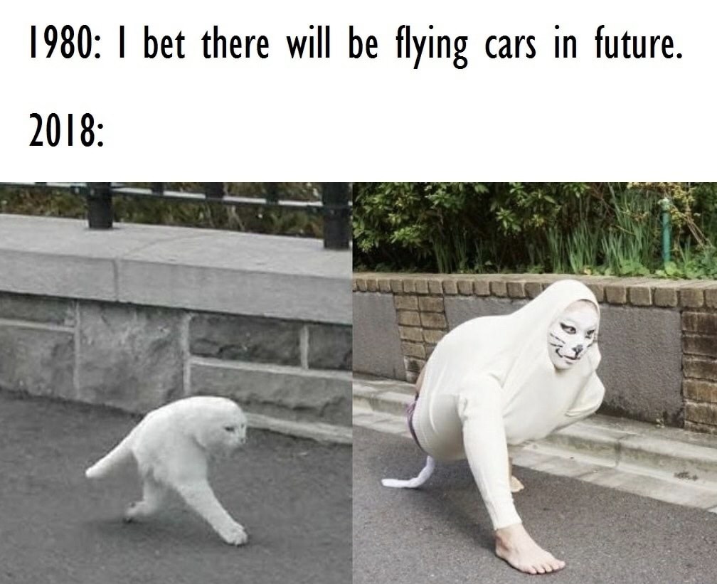 memes - cat in google street view - 1980 I bet there will be flying cars in future. 2018