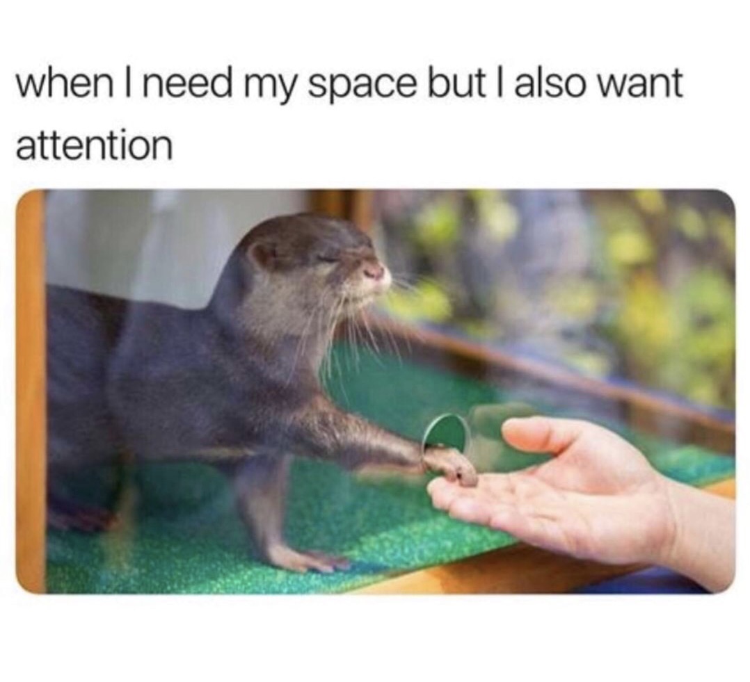 dank meme need space meme - when I need my space but I also want attention