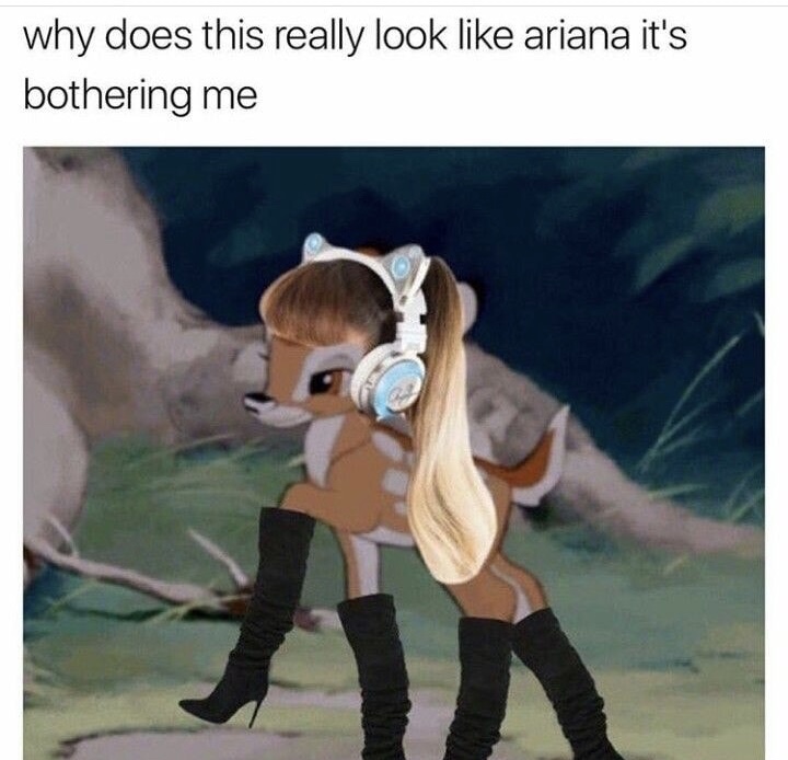 bambi ariana - why does this really look ariana it's bothering me