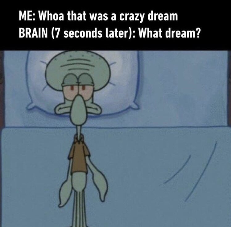 sleep memes - Me Whoa that was a crazy dream Brain 7 seconds later What dream?