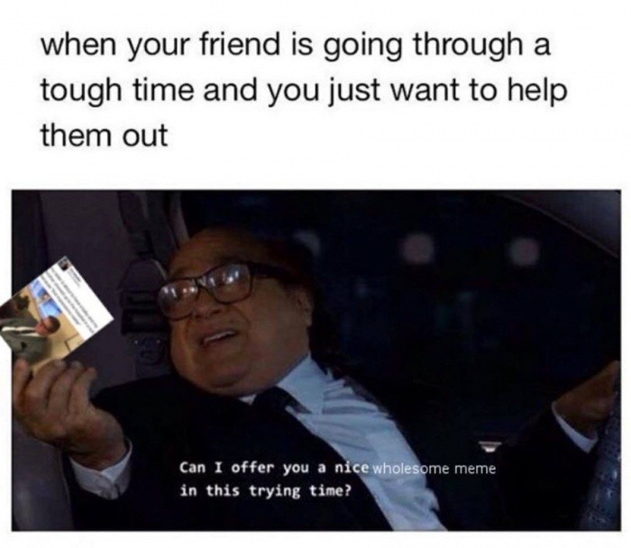 can i offer you a wholesome meme - when your friend is going through a tough time and you just want to help them out Can I offer you a nice wholesome meme in this trying time?