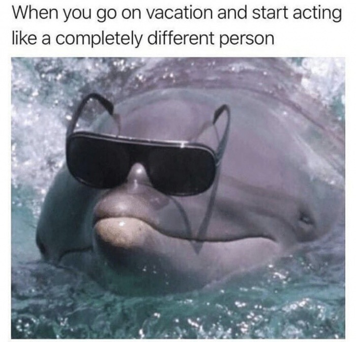 dolphin sunglasses - When you go on vacation and start acting a completely different person