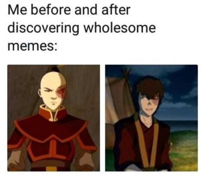 wholesome memes - Me before and after discovering wholesome memes