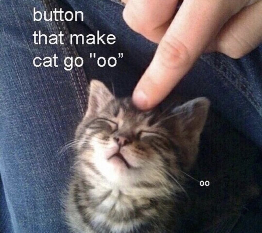 memes - forever friends quotes - button that make cat go "oo" 00