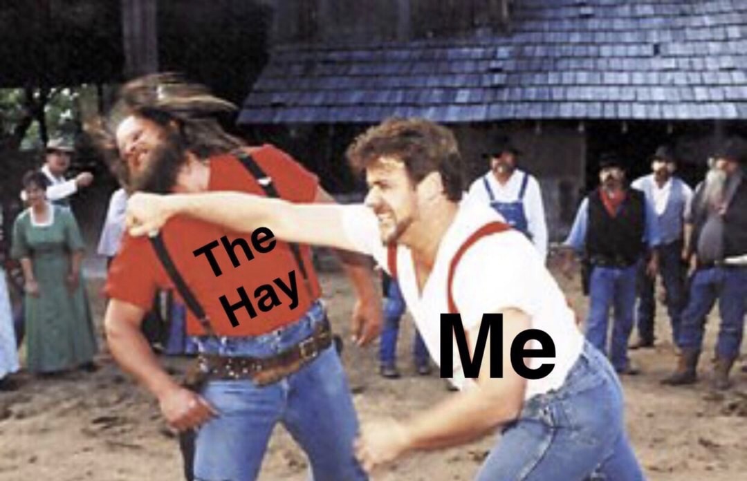 memes - hit the road jack meme - The Hay Me