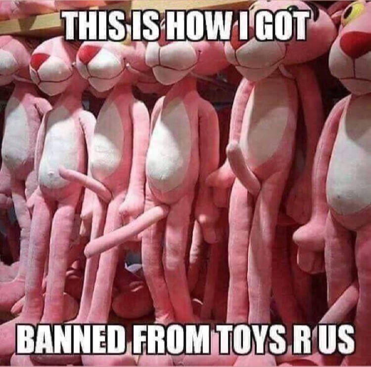 toy r us memes - This Is Howigot Banned From Toys Rus