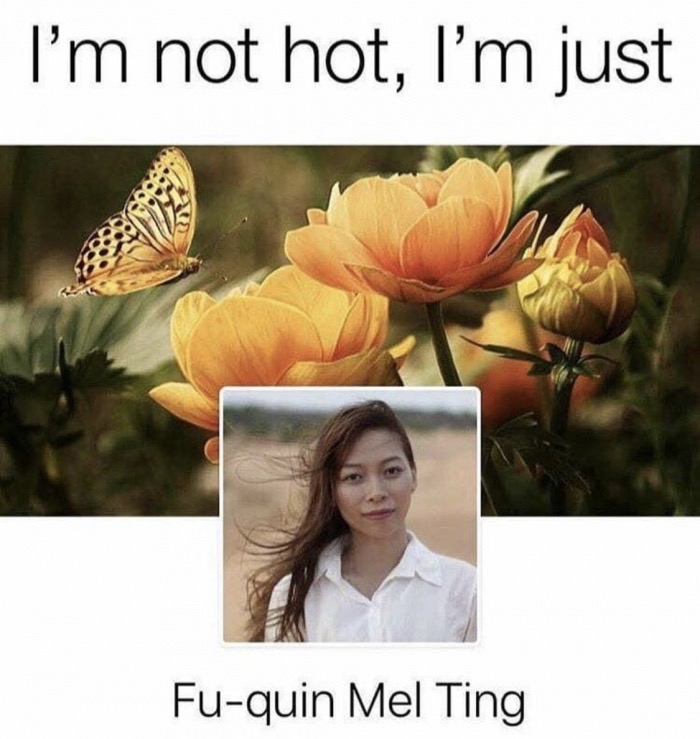 im not hot im - I'm not hot, I'm just Fuquin Mel Ting