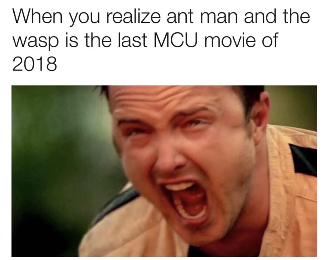 you and i m so sorry meme - When you realize ant man and the wasp is the last Mcu movie of 2018