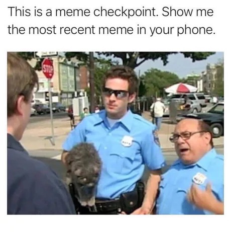 meme checkpoint - This is a meme checkpoint. Show me the most recent meme in your phone.