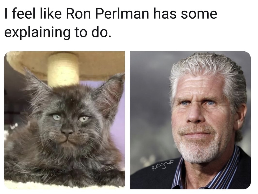 meme stream - photo caption - I feel Ron Perlman has some explaining to do. Reignif