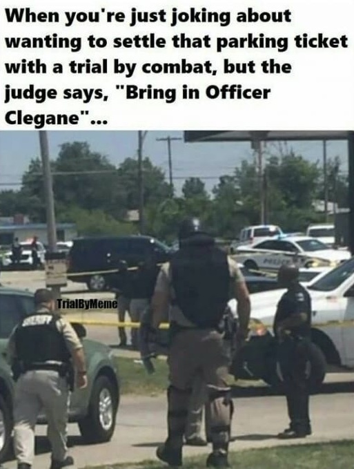 dank memes - officer clegane - When you're just joking about wanting to settle that parking ticket with a trial by combat, but the judge says, "Bring in Officer Clegane"... TrialByMeme