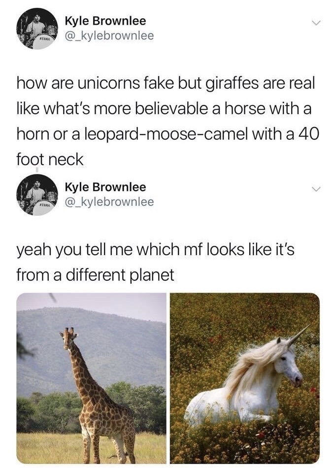 unicorn vs giraffe - Kyle Brownlee how are unicorns fake but giraffes are real what's more believable a horse with a horn or a leopardmoosecamel with a 40 foot neck Kyle Brownlee yeah you tell me which mf looks it's from a different planet
