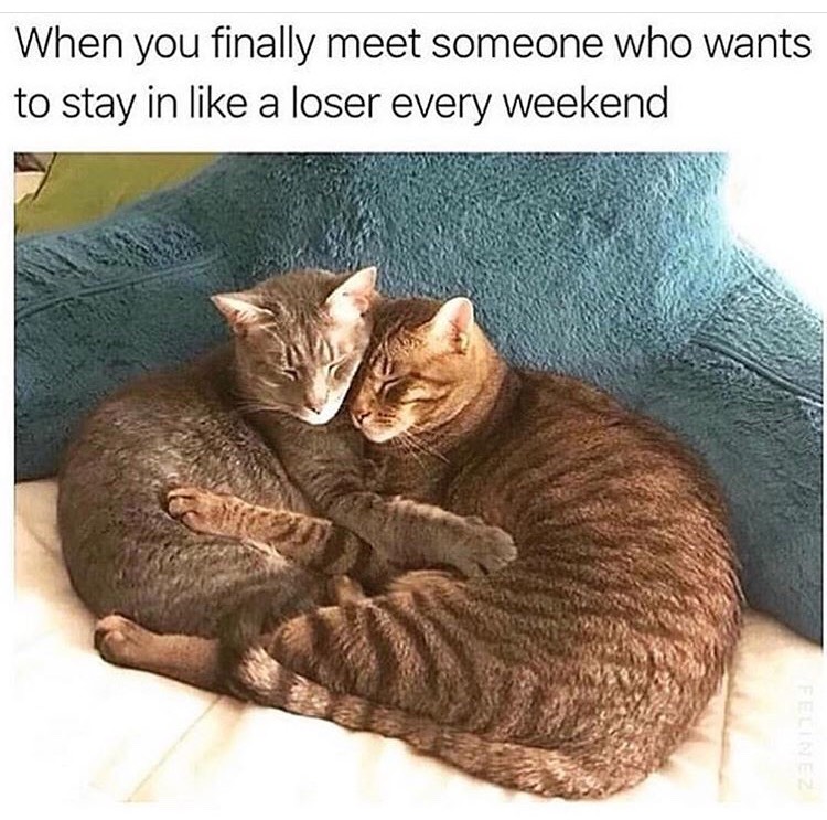 you finally meet someone who wants - When you finally meet someone who wants to stay in a loser every weekend