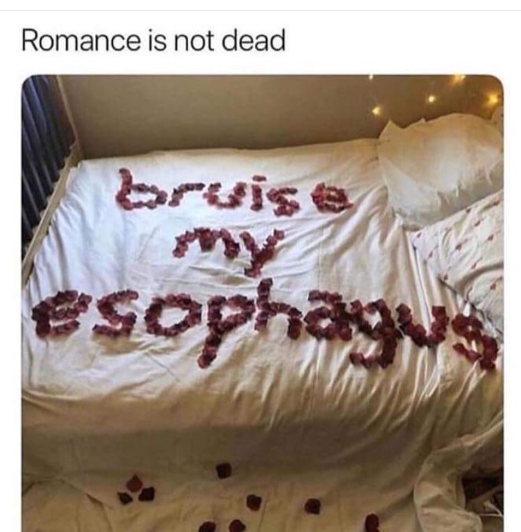 romance is not dead meme - Romance is not dead bruise esophagus