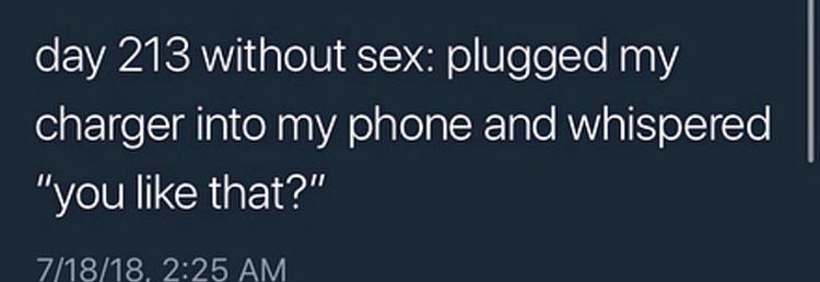 day 213 without sex plugged my charger into my phone and whispered "you that?" 71818,