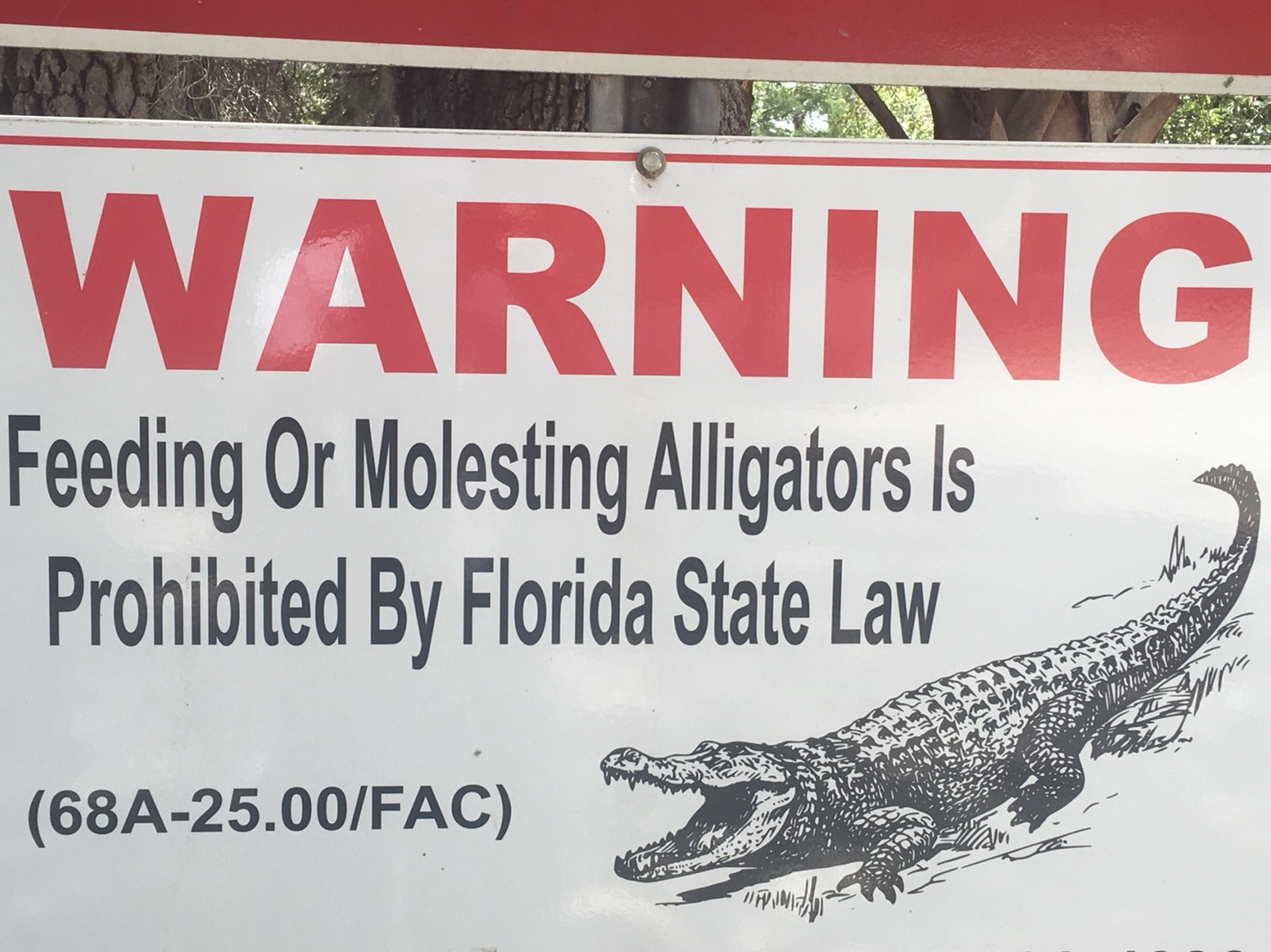 banner - Warning Feeding Or Molesting Alligators Is Prohibited By Florida State Law 68A25.00Fac y Amin Vete Sca Un Mar
