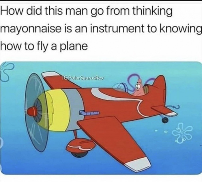 spongebob plane gif - How did this man go from thinking mayonnaise is an instrument to knowing how to fly a plane Tg PolarSaurus Rex Polarsauruste a