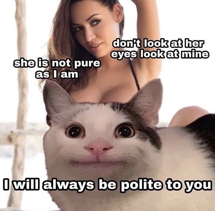 meme polite - don't look at her eyes look at mine she is not pure as I am I will always be polite to you