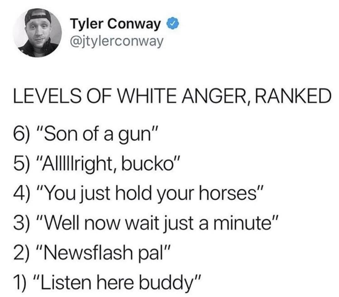 meme stream - document - Tyler Conway Levels Of White Anger, Ranked 6 "Son of a gun" 5 "AllIllright, bucko" 4 "You just hold your horses" 3 "Well now wait just a minute" 2 "Newsflash pal" 1 "Listen here buddy"