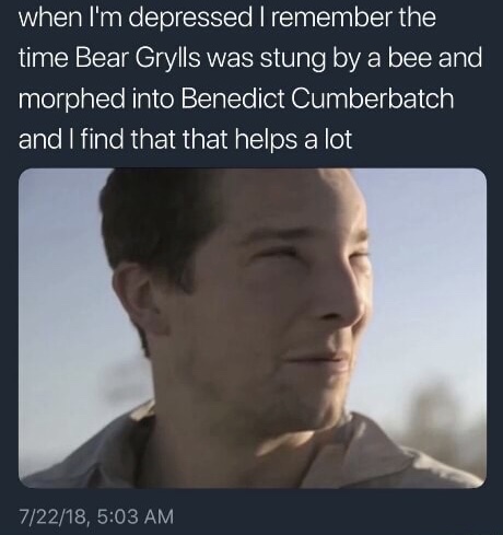 meme of bear grylls benedict cumberbatch meme - when I'm depressed I remember the time Bear Grylls was stung by a bee and morphed into Benedict Cumberbatch and I find that that helps a lot 72218,