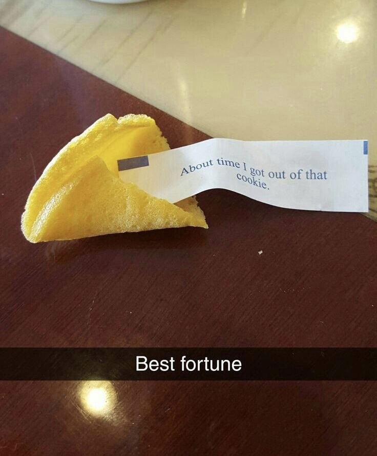 meme of fortune cookie - About tin cookie. got out of that Best fortune