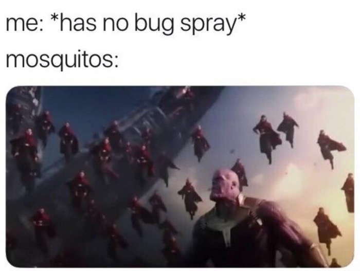 meme of ant niggas - me has no bug spray mosquitos
