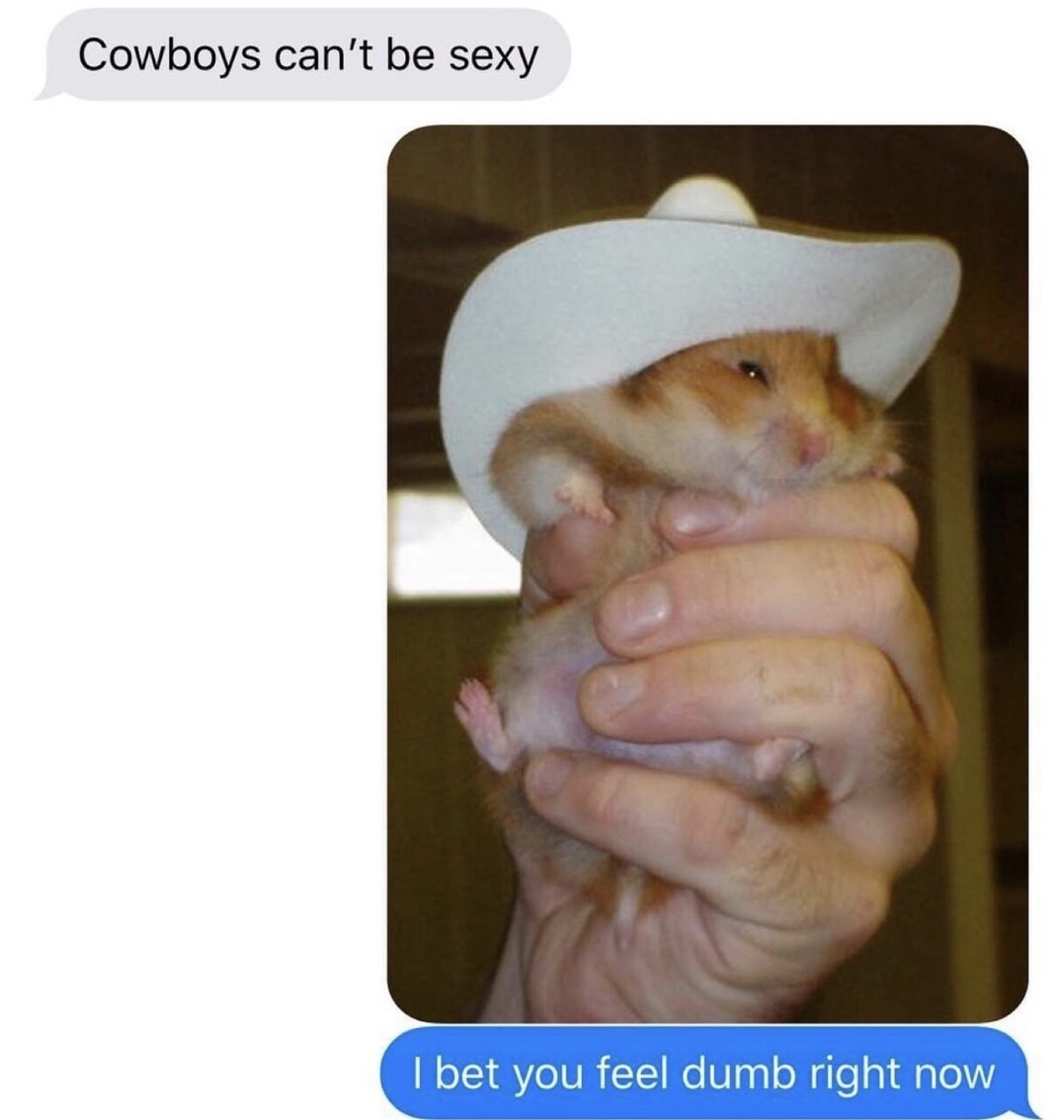 memes - you re just gonna scroll past without saying howdy - Cowboys can't be sexy I bet you feel dumb right now