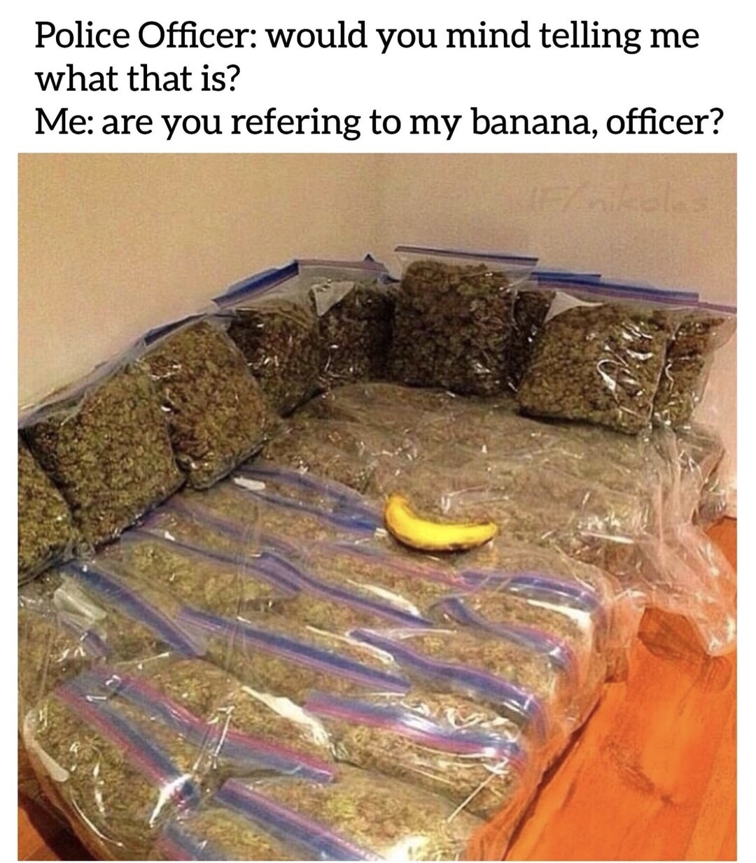 memes - weed couch - Police Officer would you mind telling me what that is? Me are you refering to my banana, officer?