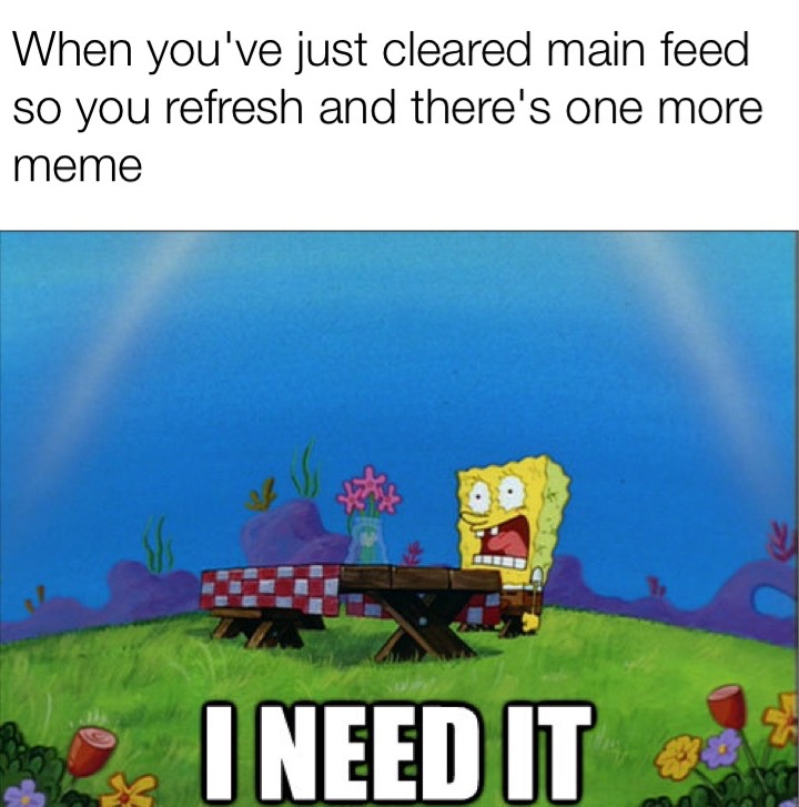 memes - need it meme - When you've just cleared main feed so you refresh and there's one more meme I Need It