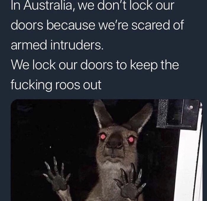 memes - skaven memes - In Australia, we don't lock our doors because we're scared of armed intruders. We lock our doors to keep the fucking roos out
