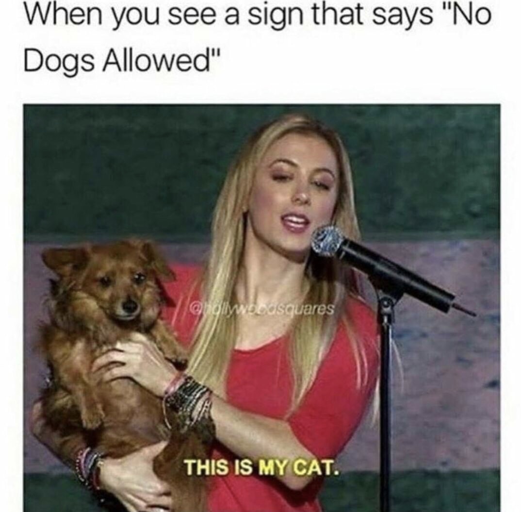 no dogs allowed meme - When you see a sign that says "No Dogs Allowed" hollywoodsquares This Is My Cat.