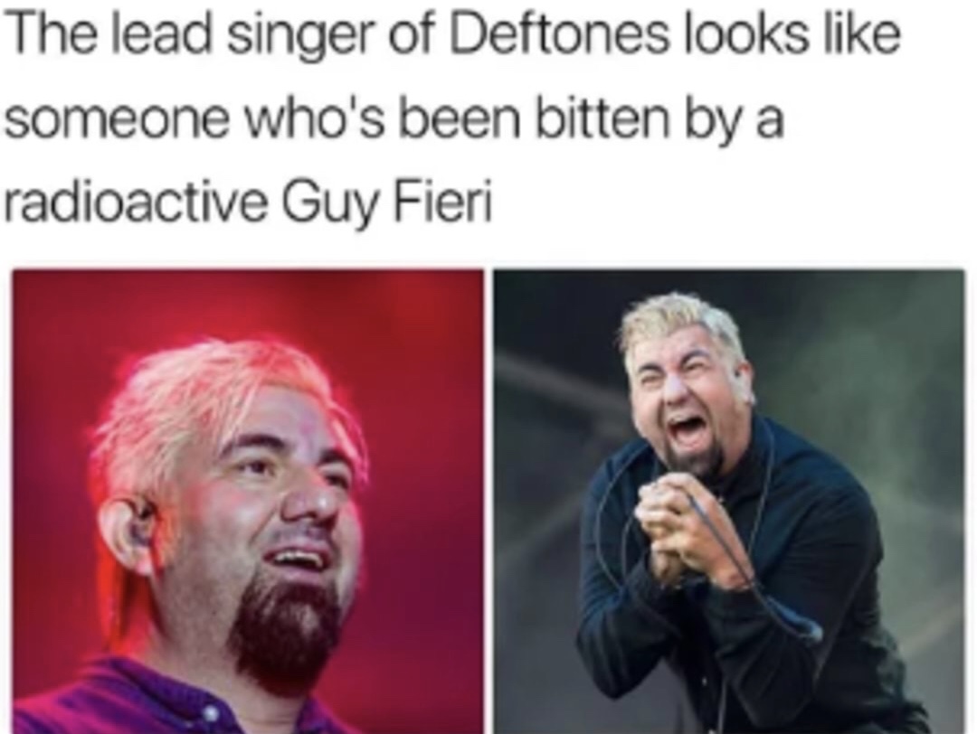 guy fieri deftones meme - The lead singer of Deftones looks someone who's been bitten by a radioactive Guy Fieri