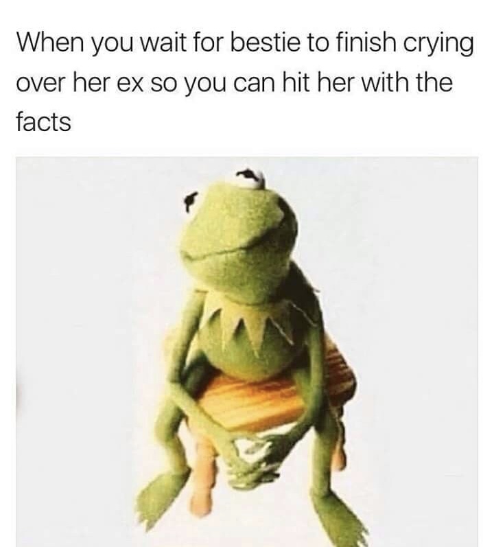 kermit the frog - When you wait for bestie to finish crying over her ex so you can hit her with the facts