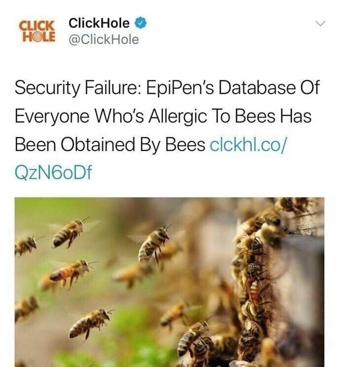 bee memes - Hole Click ClickHole Security Failure EpiPen's Database Of Everyone Who's Allergic To Bees Has Been Obtained By Bees clckhl.co QzN6oDf