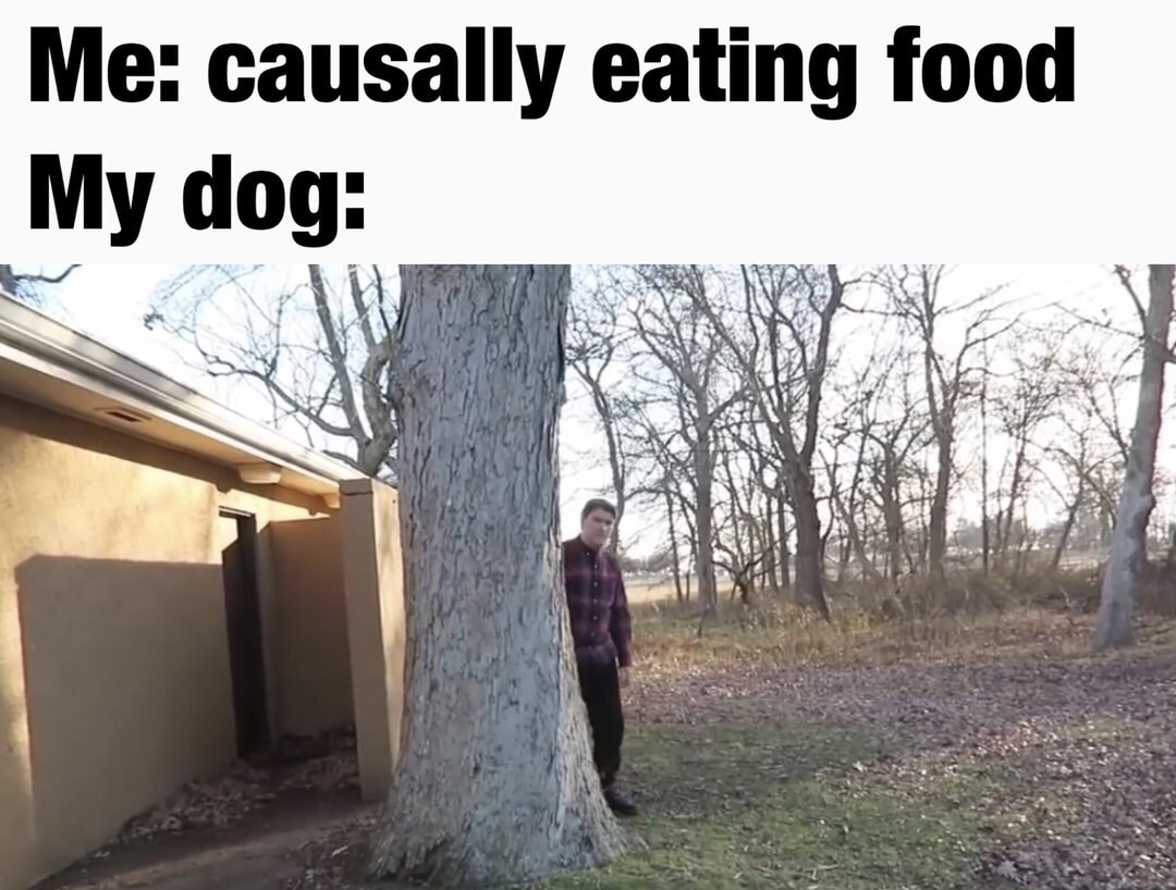 hey whats up guys its scarce here - Me causally eating food My dog