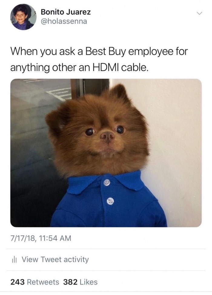 best buy employee dog meme - Bonito Juarez When you ask a Best Buy employee for anything other an Hdmi cable. 71718, Il View Tweet activity 243 382