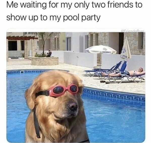 memes - dog with swimming goggles - Me waiting for my only two friends to show up to my pool party Sadaban