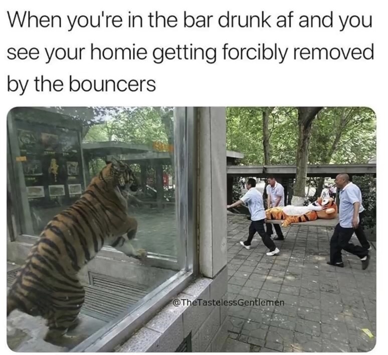 memes - most unexplainable pictures on the internet - When you're in the bar drunk af and you see your homie getting forcibly removed by the bouncers