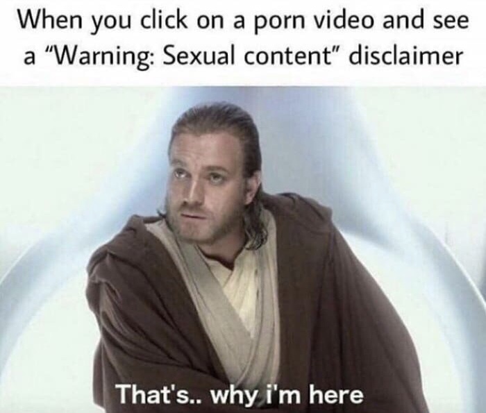 memes - thats why im here meme - When you click on a porn video and see a "Warning Sexual content" disclaimer That's.. why i'm here