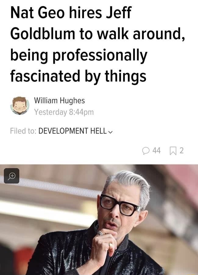 memes - Meme - Nat Geo hires Jeff Goldblum to walk around. being professionally fascinated by things William Hughes Yesterday pm Filed to Development Hell v 44 92