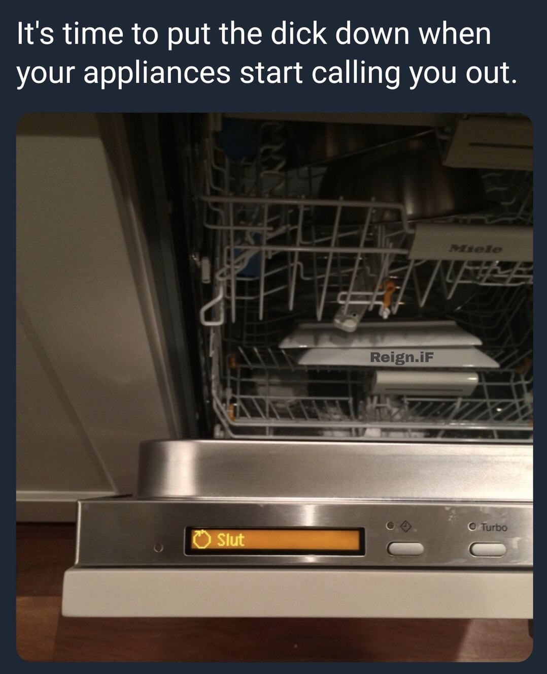 memes - dishwasher slut - It's time to put the dick down when your appliances start calling you out. Miele Reign.iF O Turbo Slut